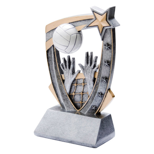3-D Volleyball Resin