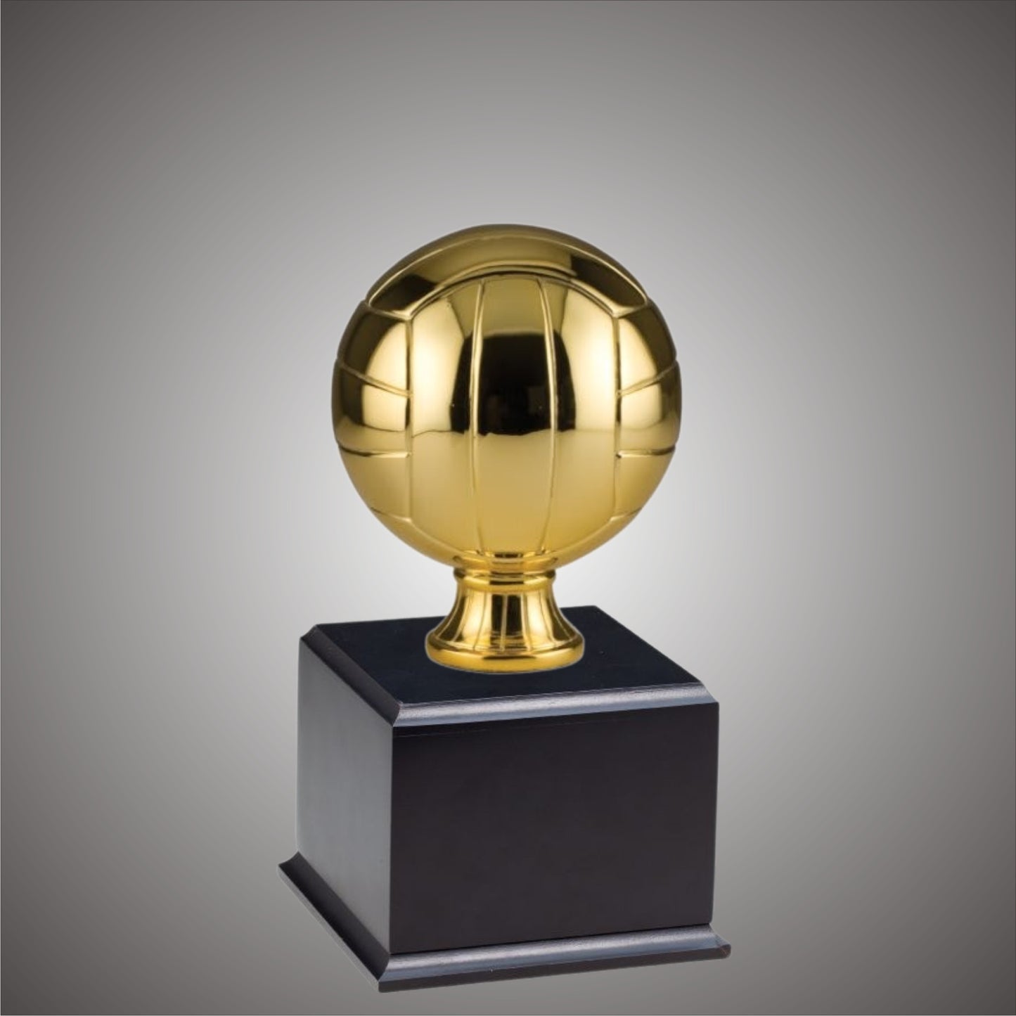 Volleyball Sports Ball - Large or Small