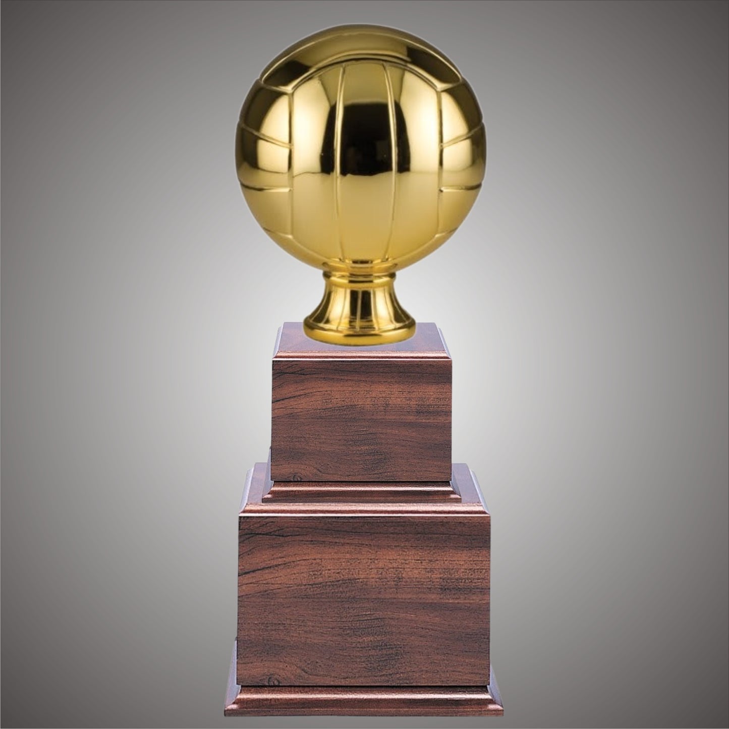 Volleyball Sports Ball - Large or Small