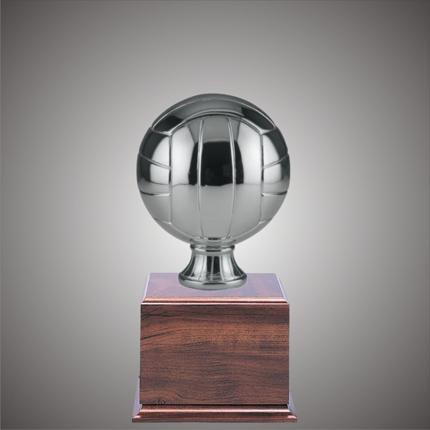 Volleyball Sports Ball - Large or Small