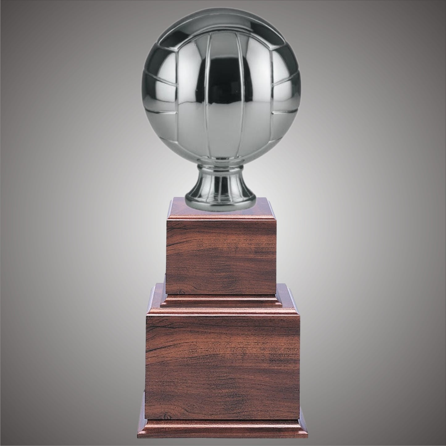 Volleyball Sports Ball - Large or Small