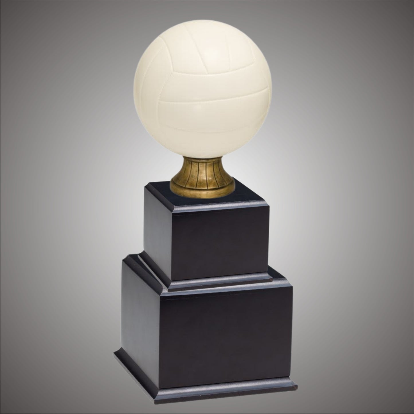 Volleyball Sports Ball - Large or Small