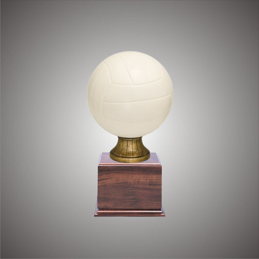 Volleyball Sports Ball - Large or Small