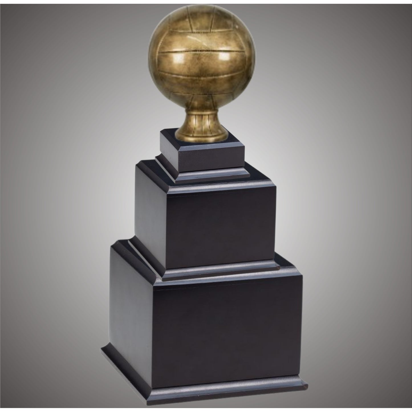 Volleyball Sports Ball - Large or Small