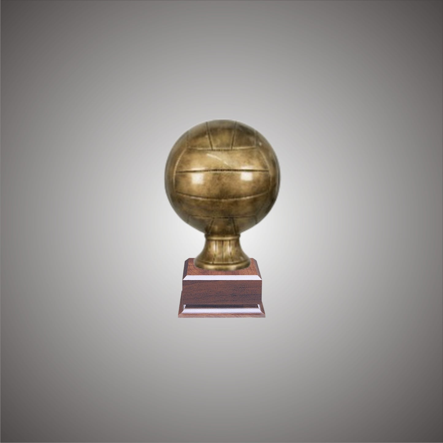 Volleyball Sports Ball - Large or Small