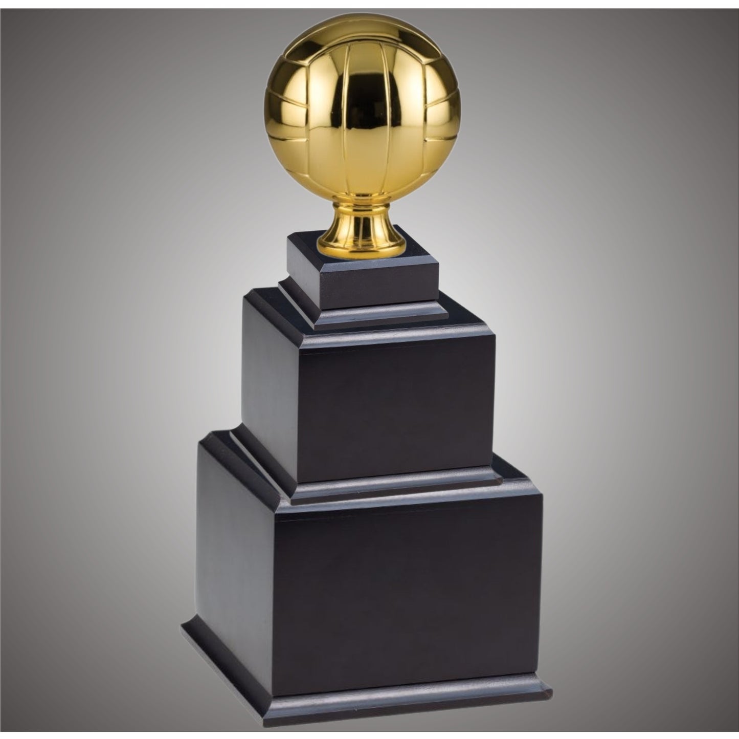 Volleyball Sports Ball - Large or Small