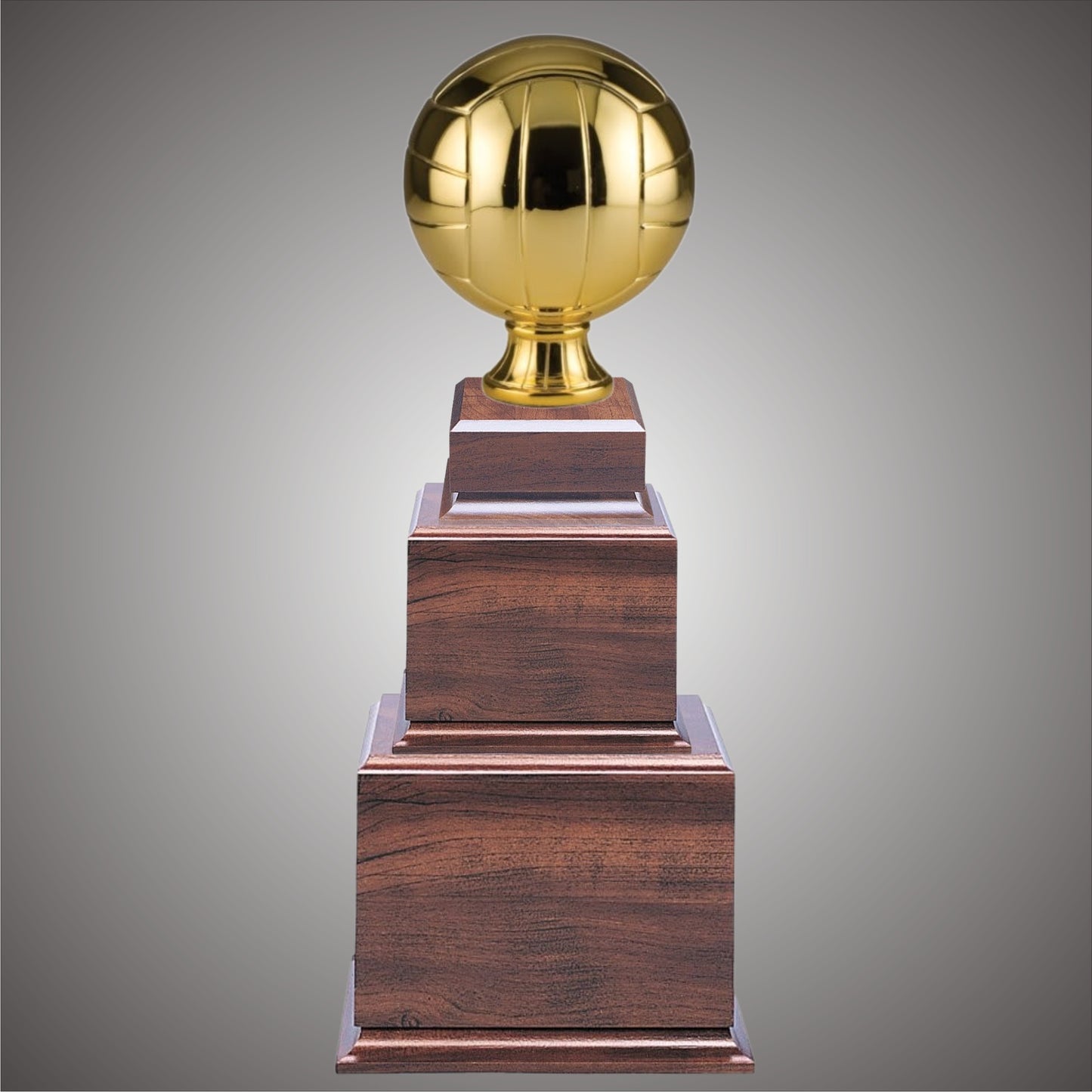 Volleyball Sports Ball - Large or Small