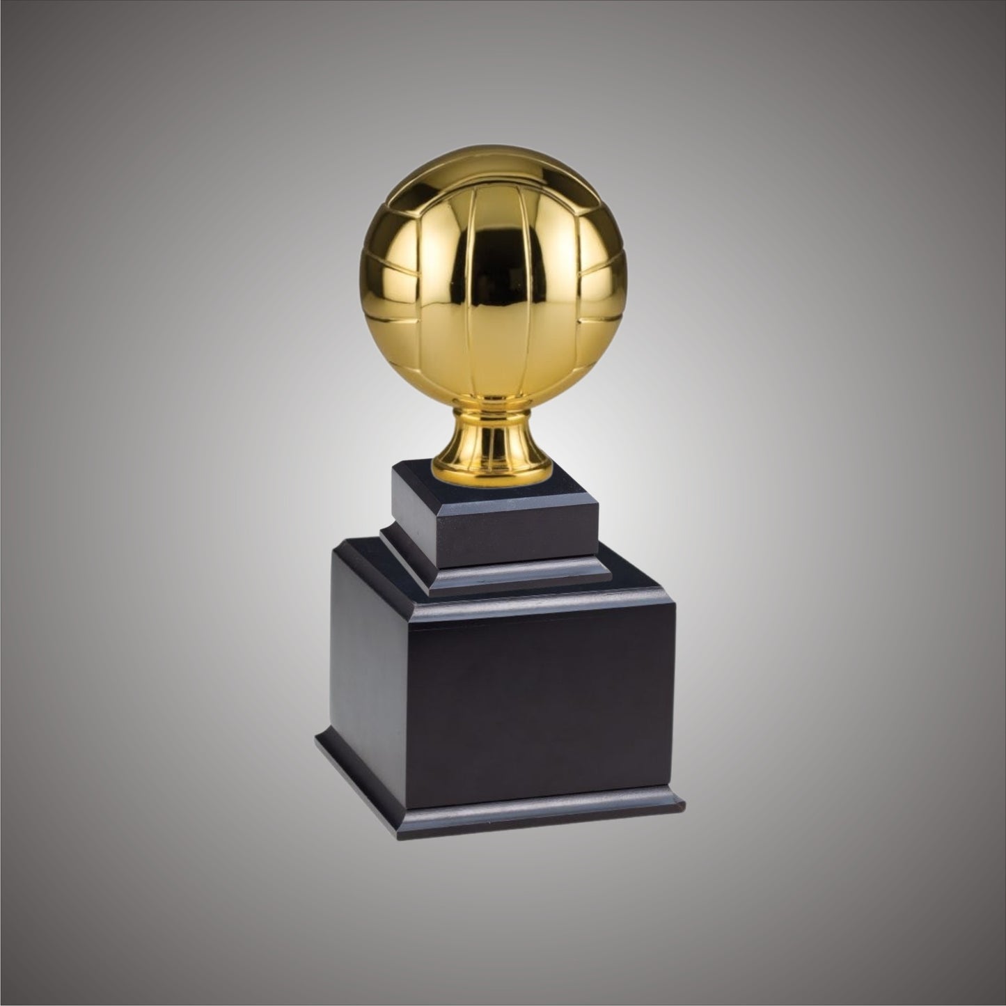 Volleyball Sports Ball - Large or Small