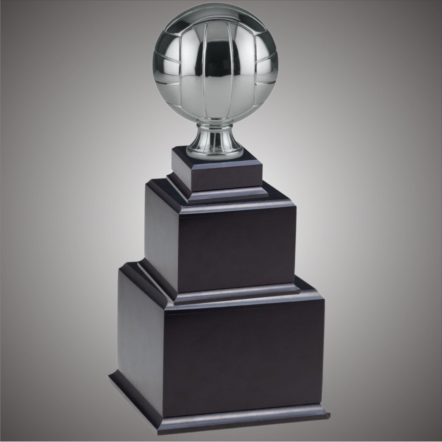 Volleyball Sports Ball - Large or Small