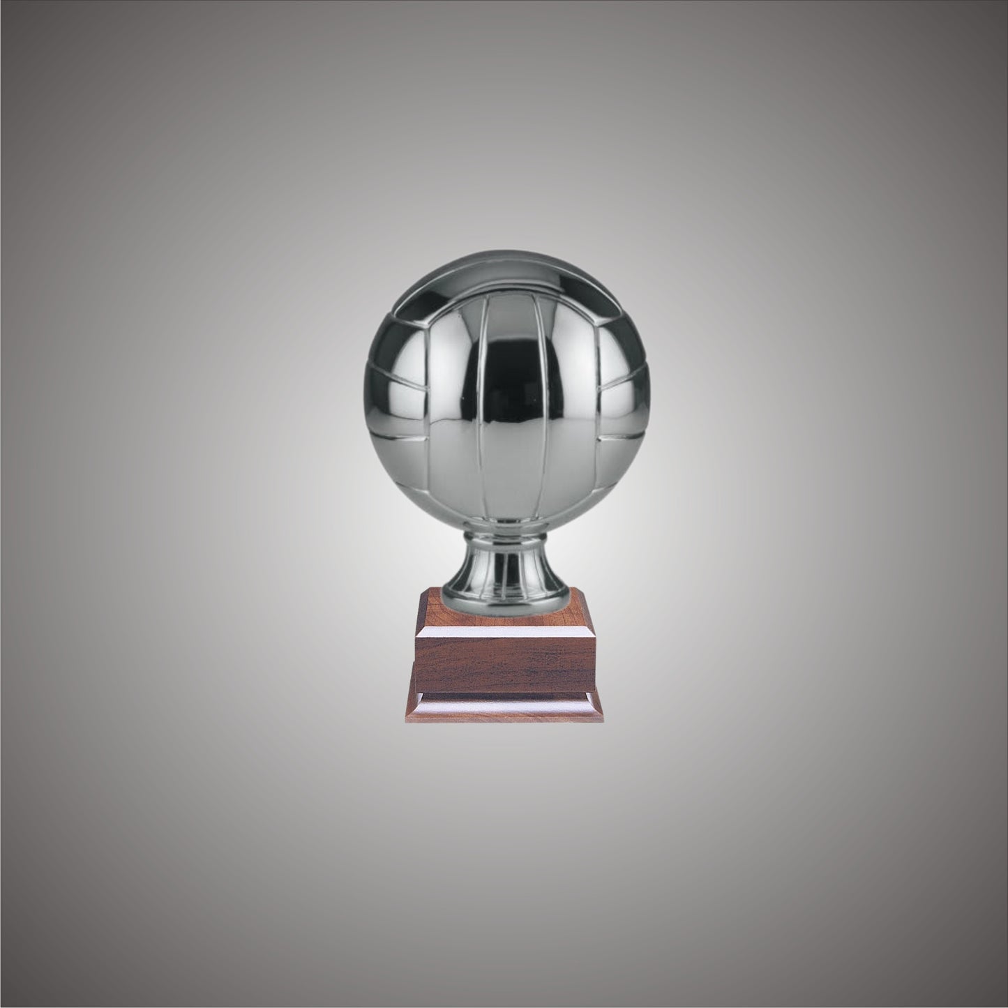 Volleyball Sports Ball - Large or Small