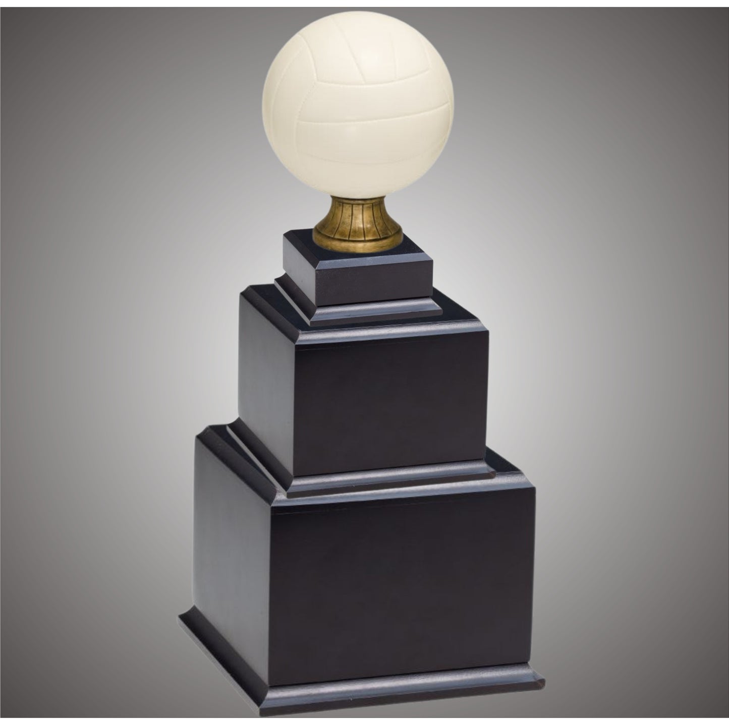 Volleyball Sports Ball - Large or Small