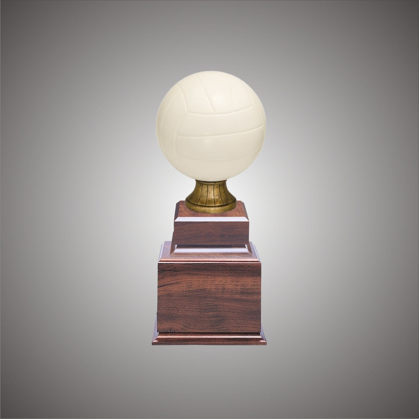 Volleyball Sports Ball - Large or Small