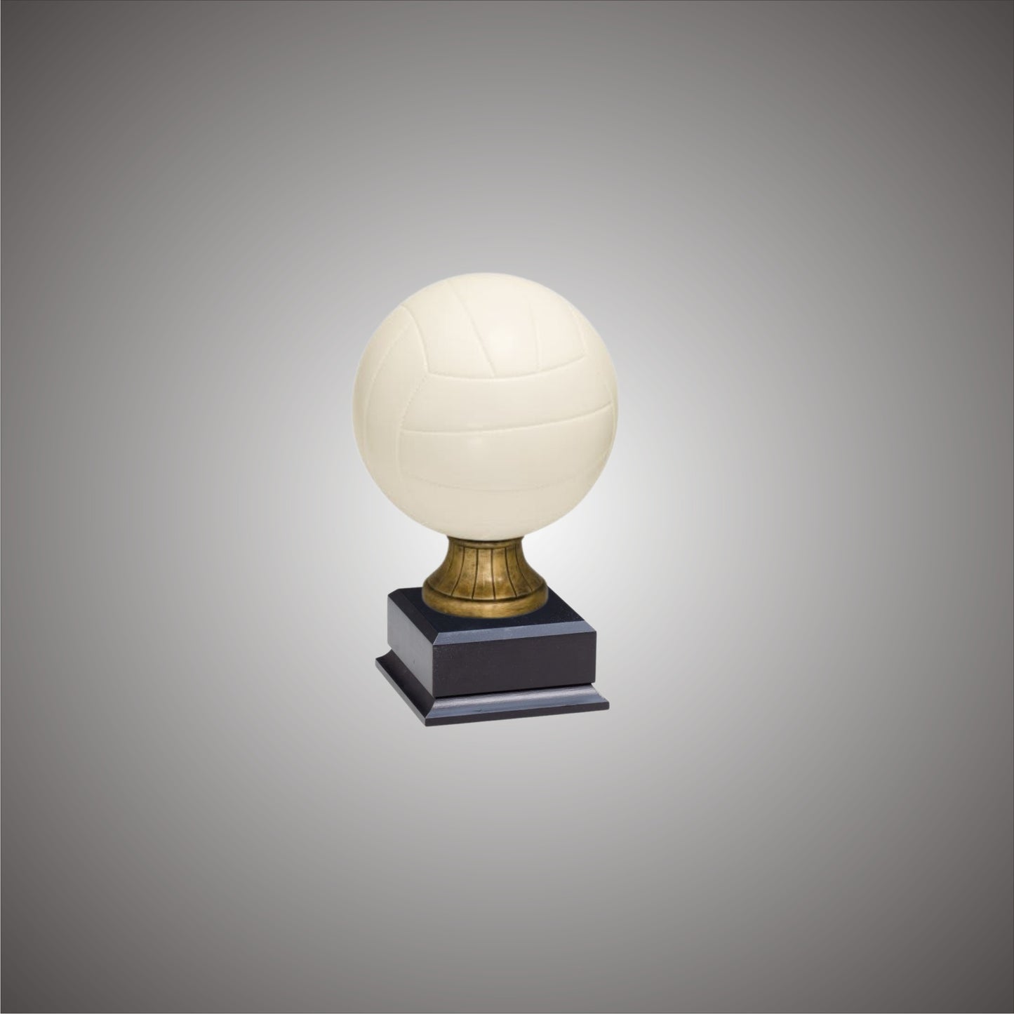 Volleyball Sports Ball - Large or Small