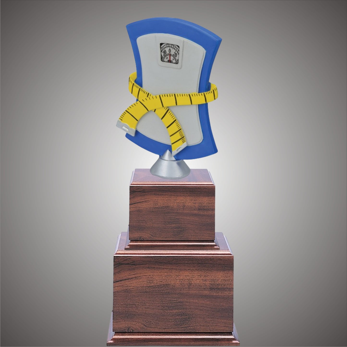 Biggest loser weightloss resin on base