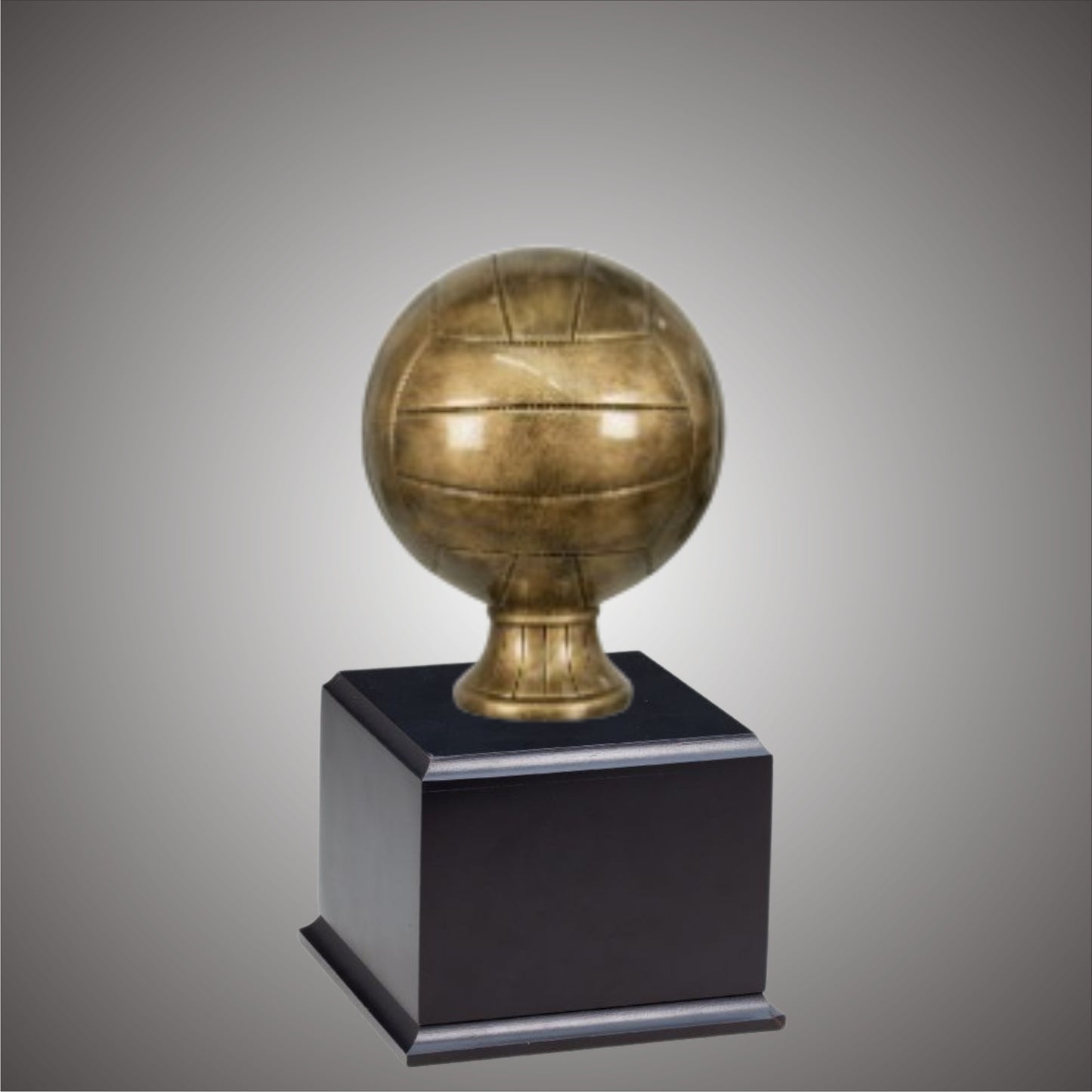 5" or 10 3/4" Volleyball Resin on Base