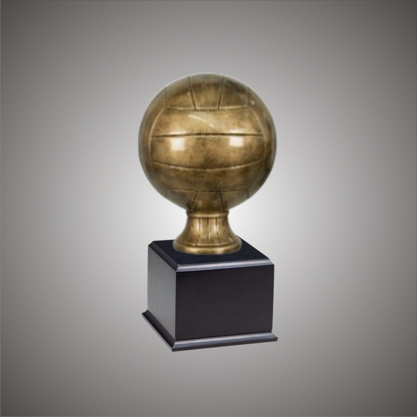 5" or 10 3/4" Volleyball Resin on Base