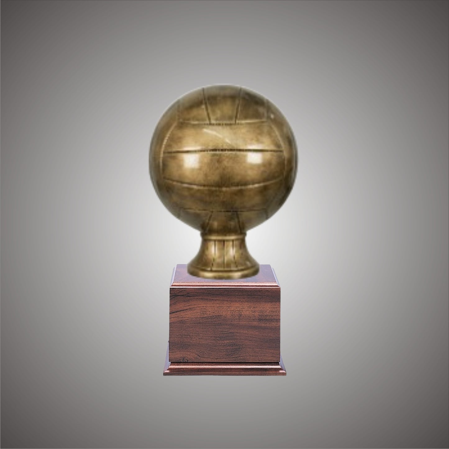 5" or 10 3/4" Volleyball Resin on Base