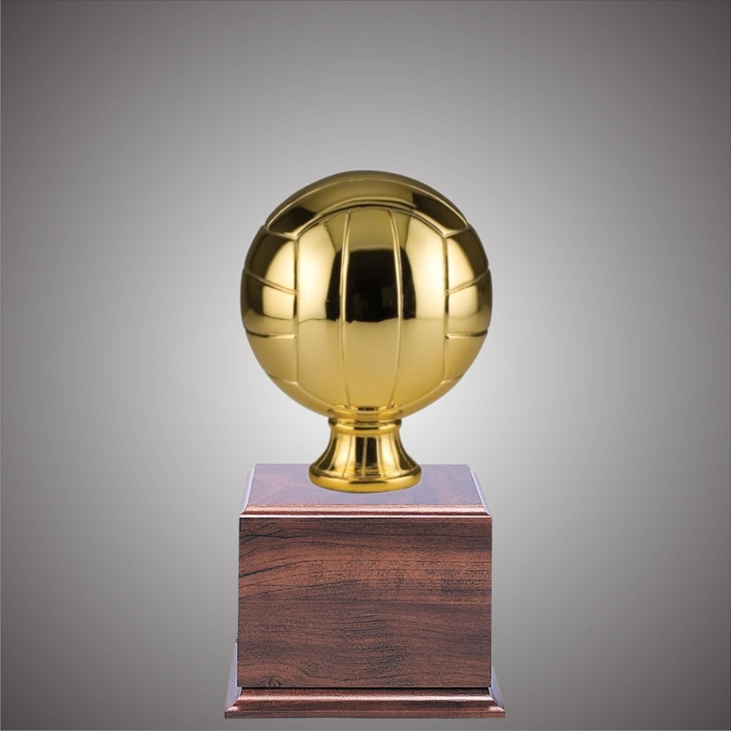 5" or 10 3/4" Volleyball Resin on Base