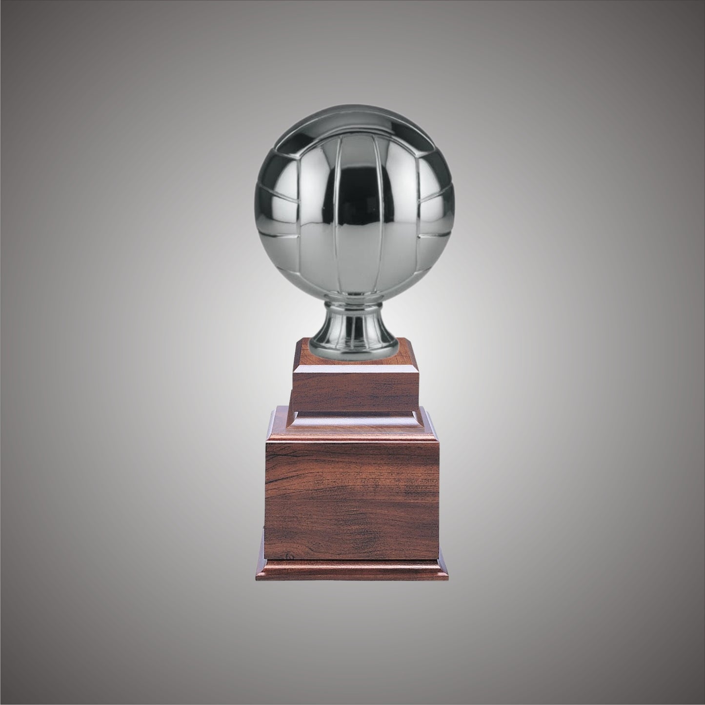 5" or 10 3/4" Volleyball Resin on Base