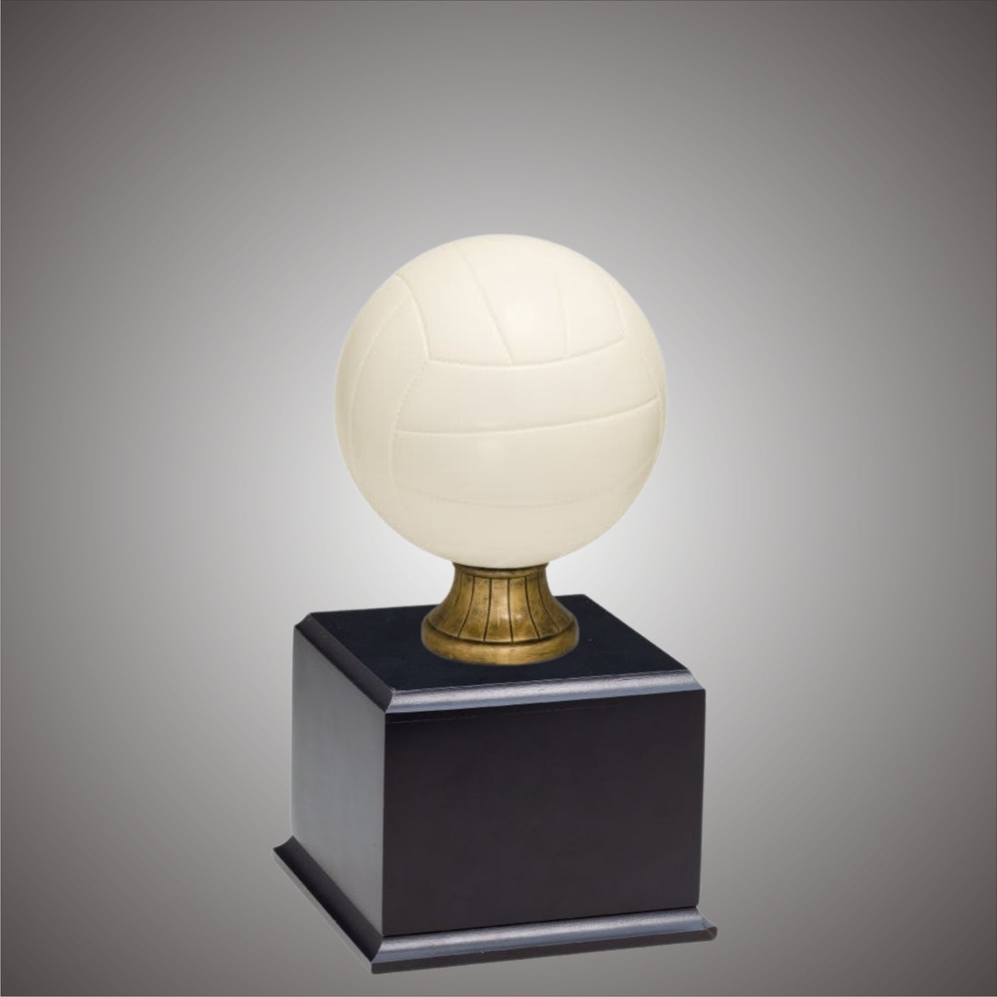 5" or 10 3/4" Volleyball Resin on Base
