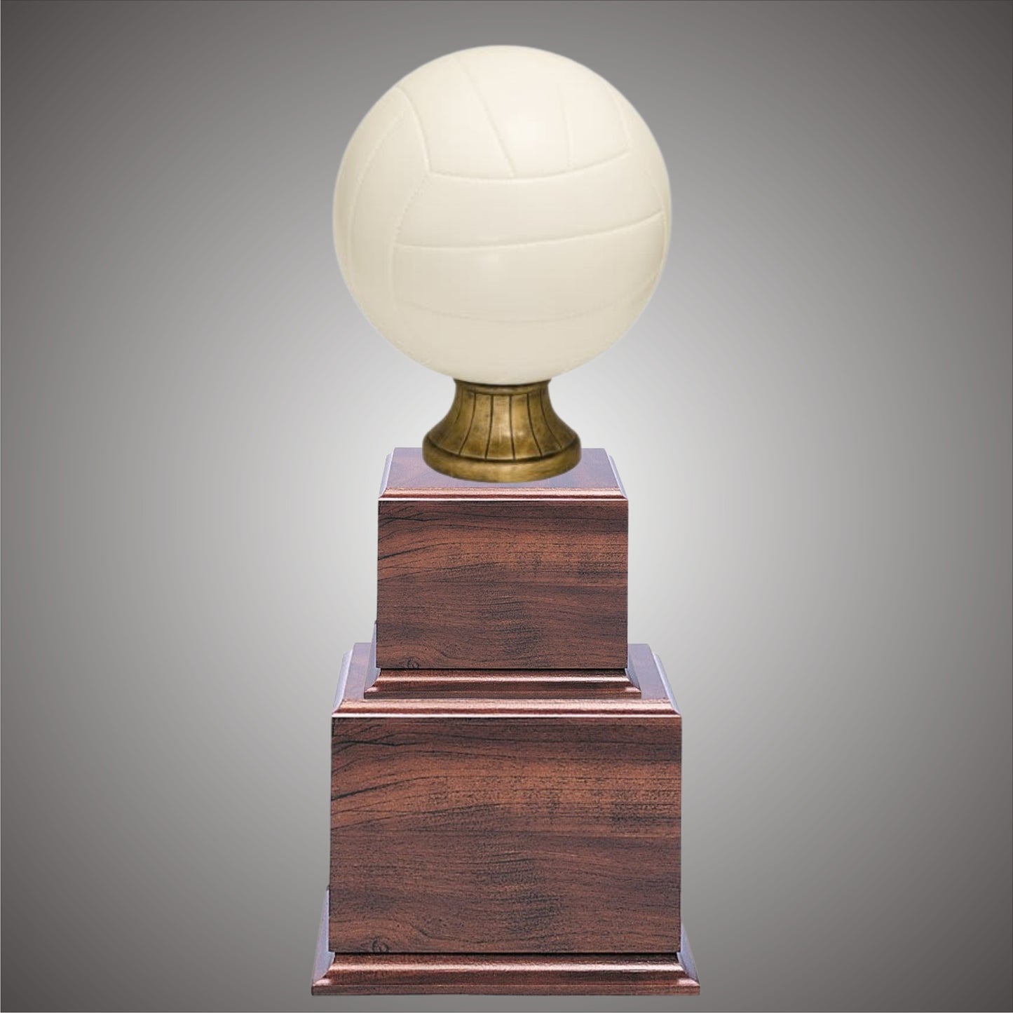 5" or 10 3/4" Volleyball Resin on Base