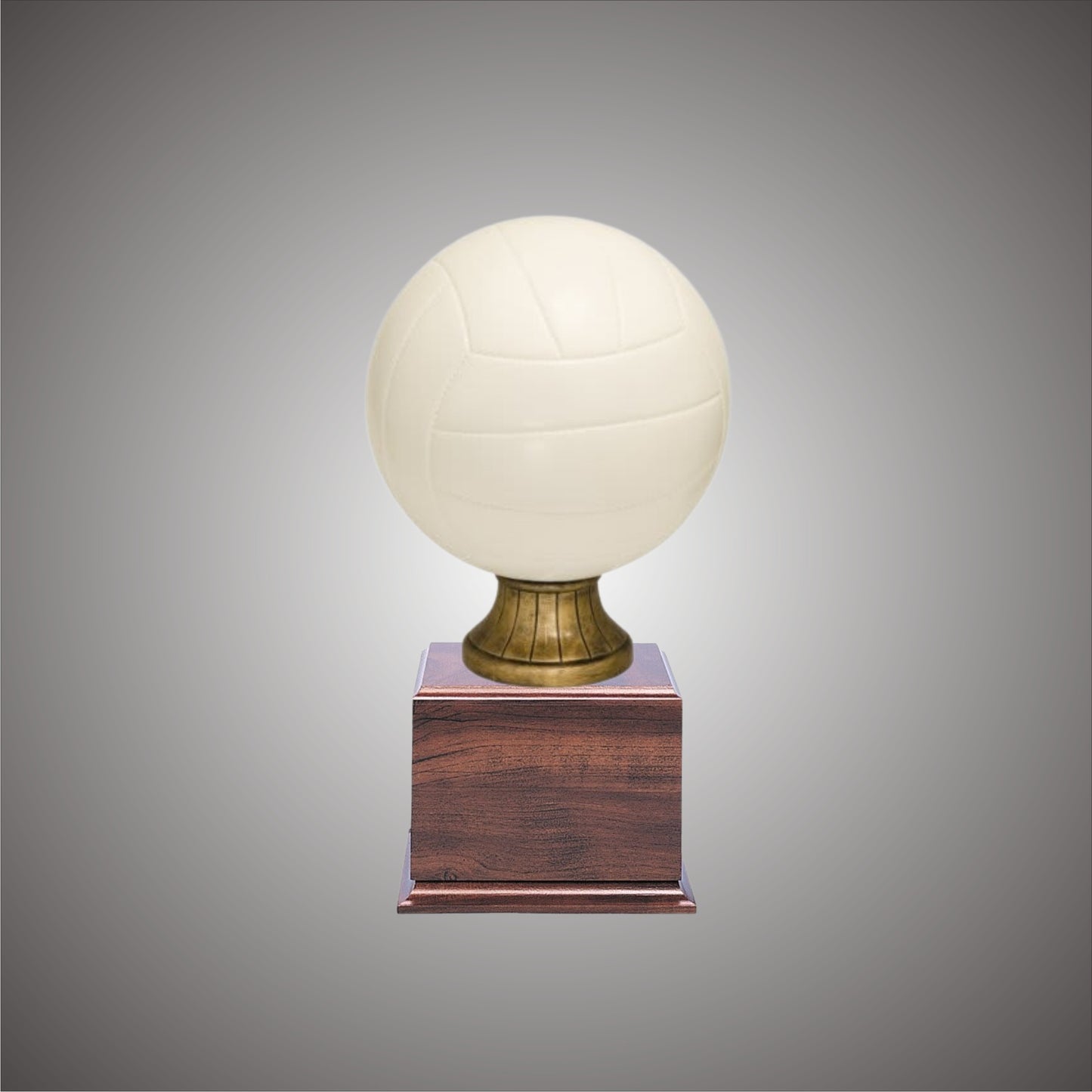 5" or 10 3/4" Volleyball Resin on Base