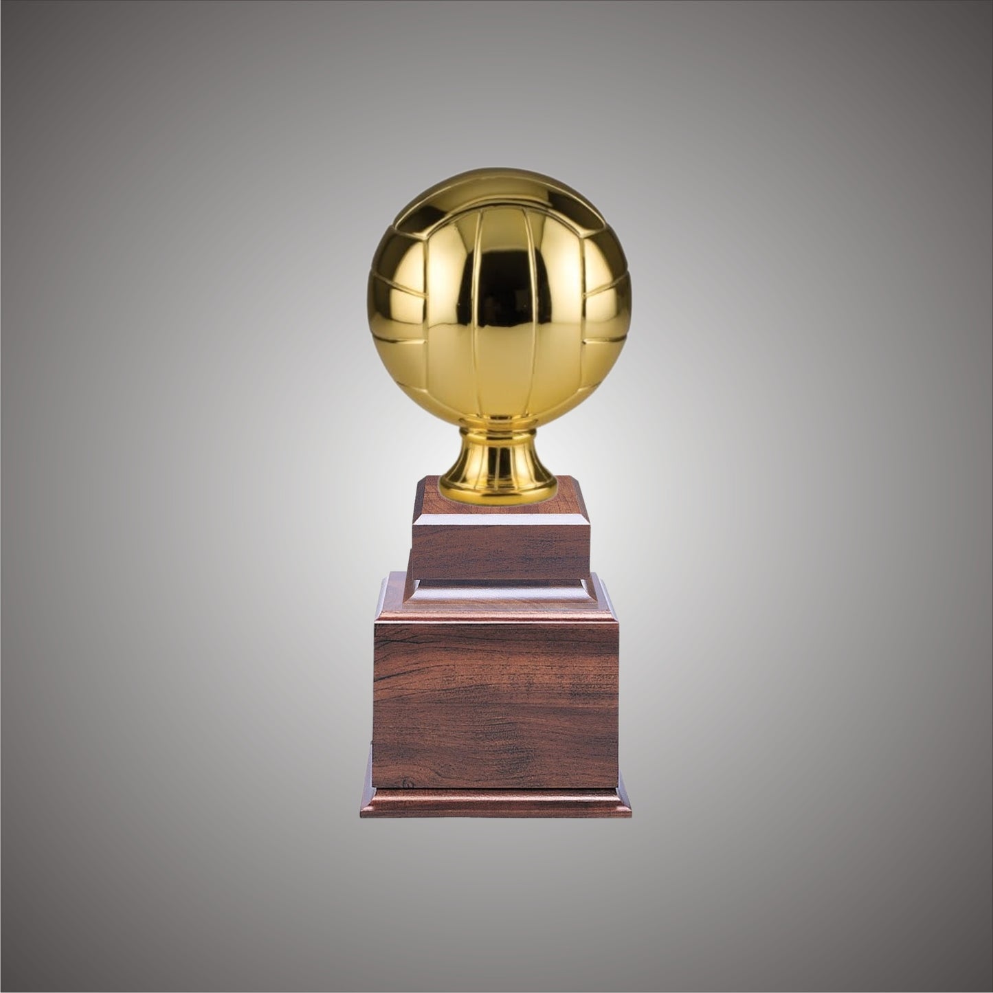 5" or 10 3/4" Volleyball Resin on Base