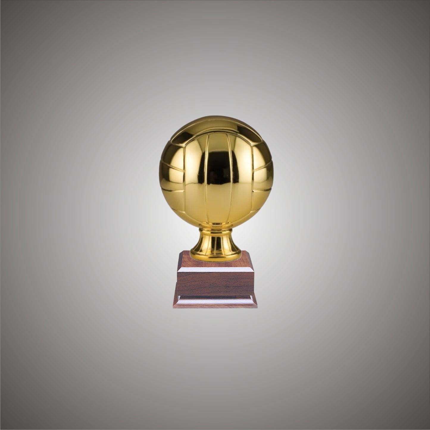 5" or 10 3/4" Volleyball Resin on Base