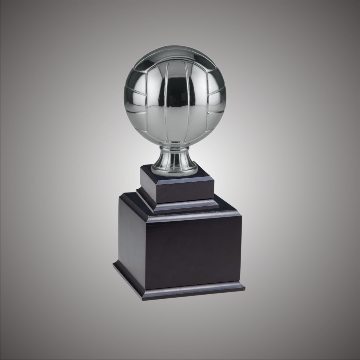 5" or 10 3/4" Volleyball Resin on Base