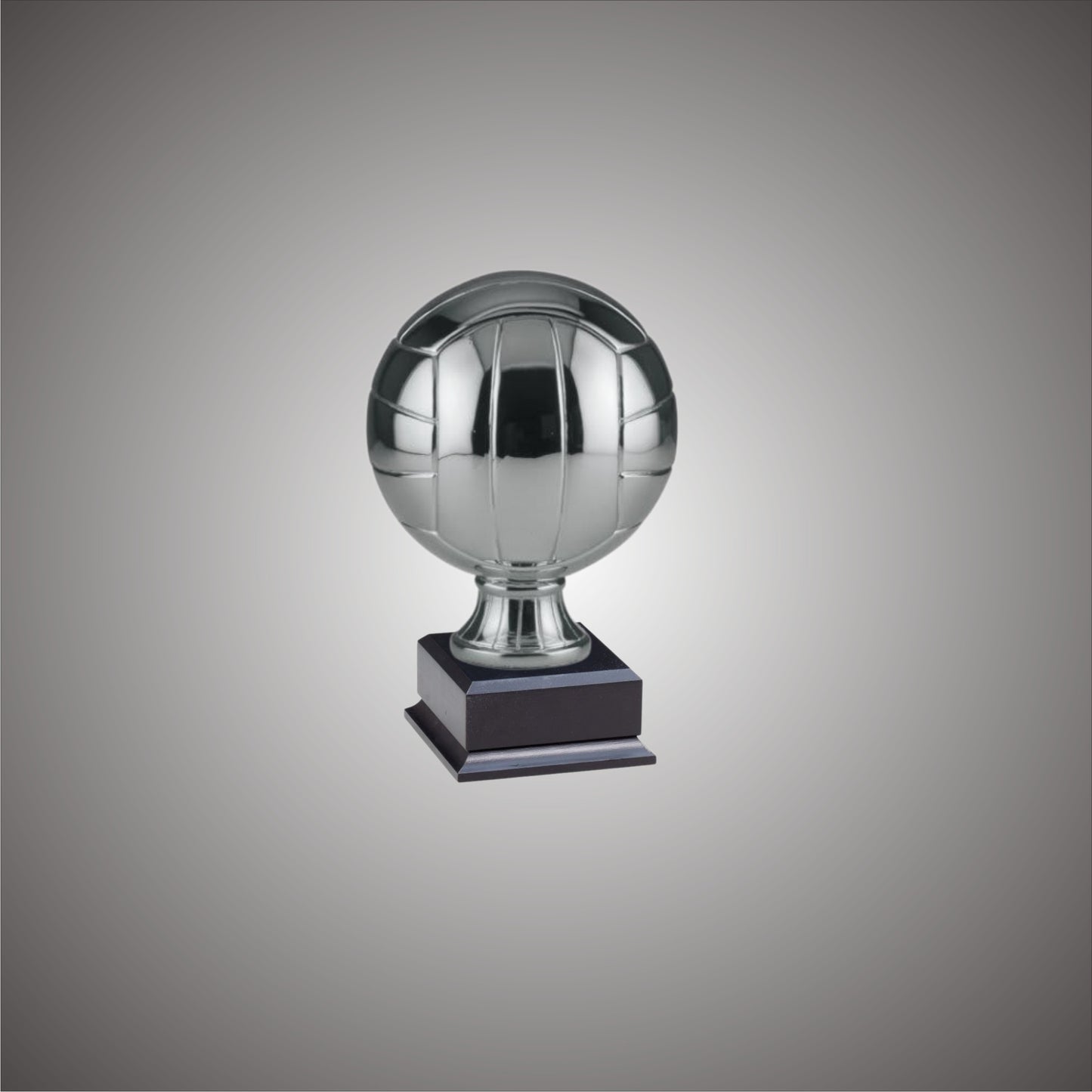 5" or 10 3/4" Volleyball Resin on Base