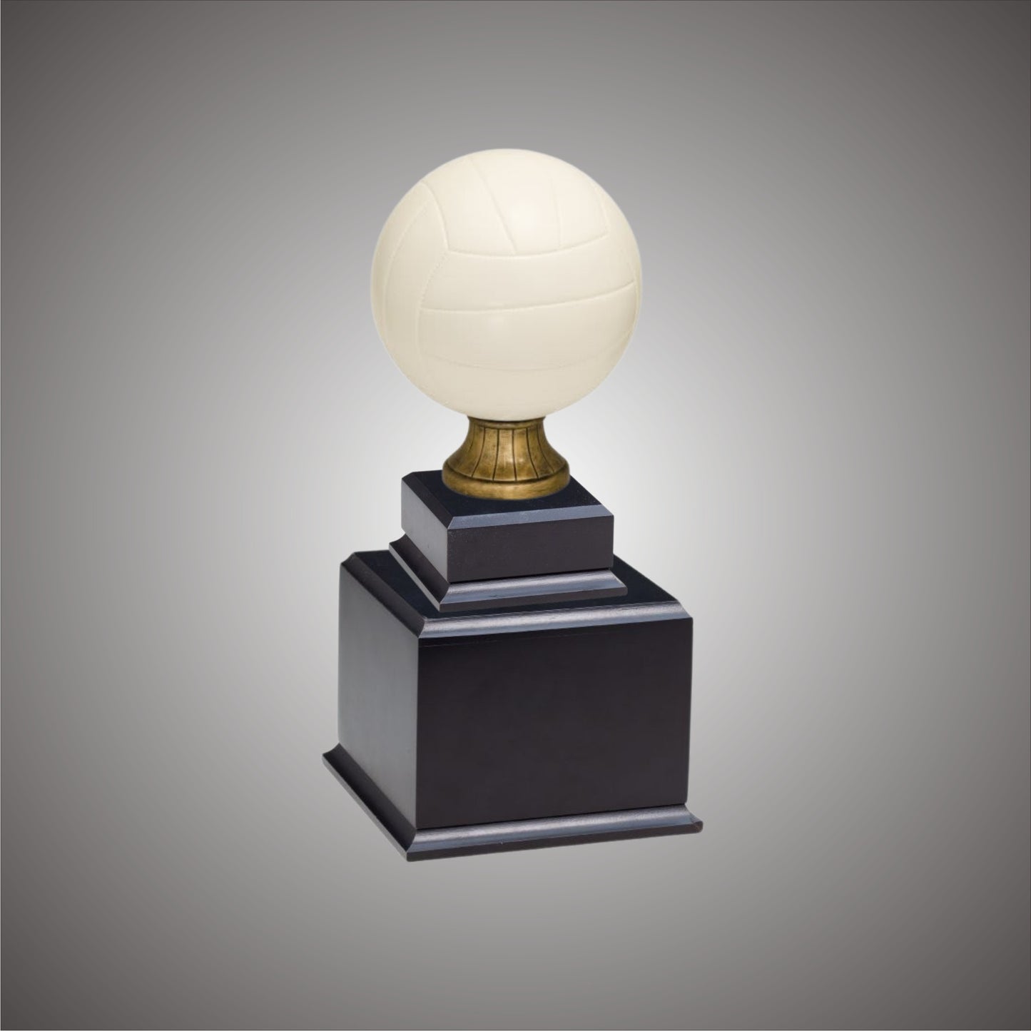 5" or 10 3/4" Volleyball Resin on Base