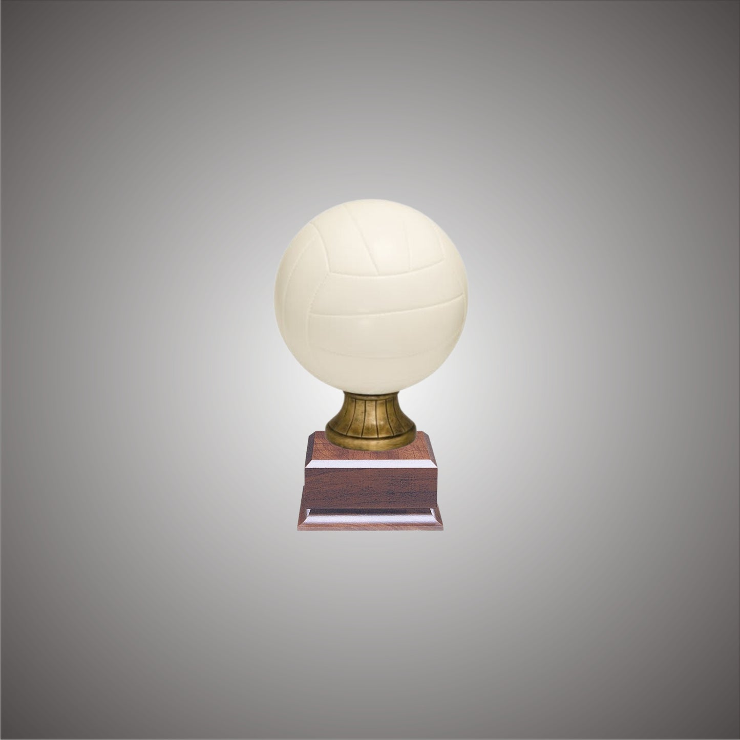 5" or 10 3/4" Volleyball Resin on Base