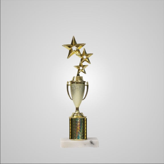 12.5" Trophy with Cup
