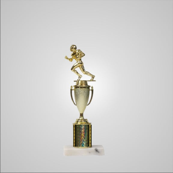 12.5" Trophy with Cup