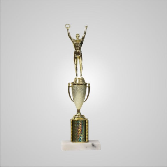 12.5" Trophy with Cup