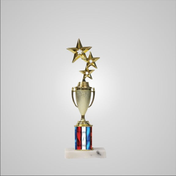 12.5" Trophy with Cup
