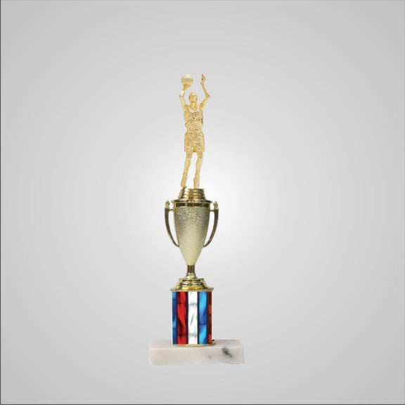 12.5" Trophy with Cup
