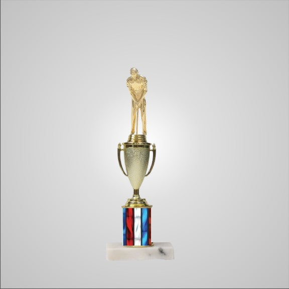 12.5" Trophy with Cup