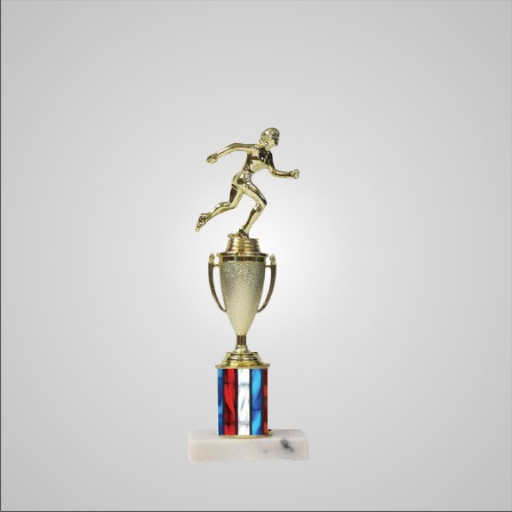 12.5" Trophy with Cup