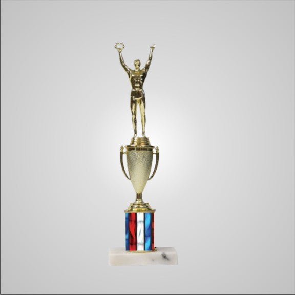 12.5" Trophy with Cup
