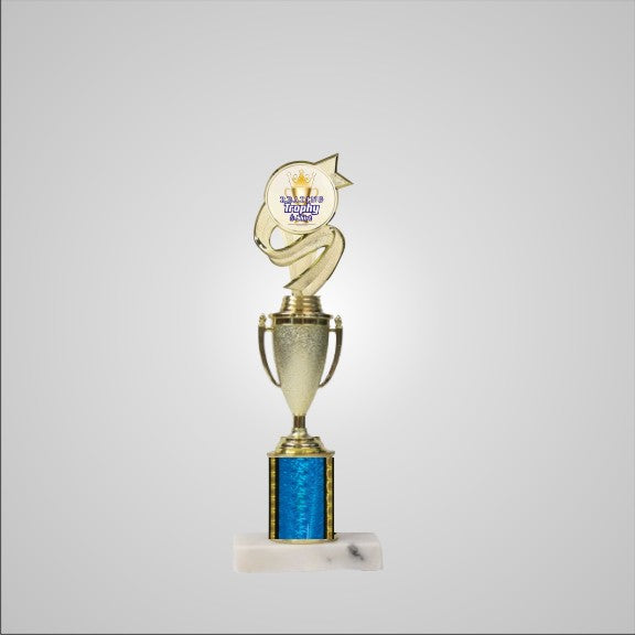 12.5" Trophy with Cup