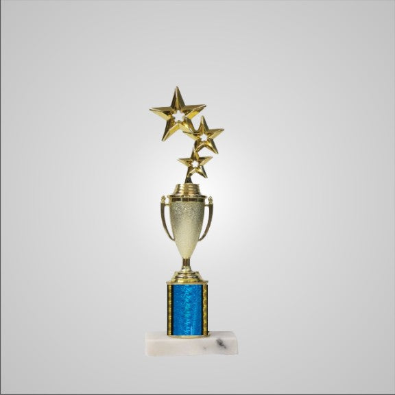 12.5" Trophy with Cup