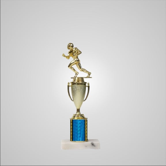 12.5" Trophy with Cup