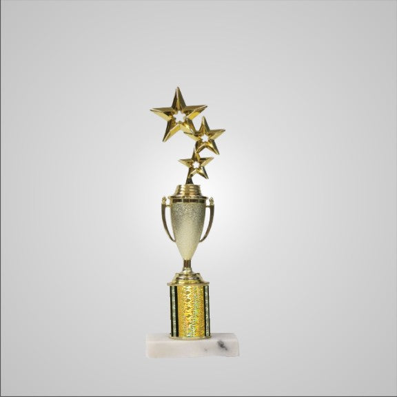 12.5" Trophy with Cup