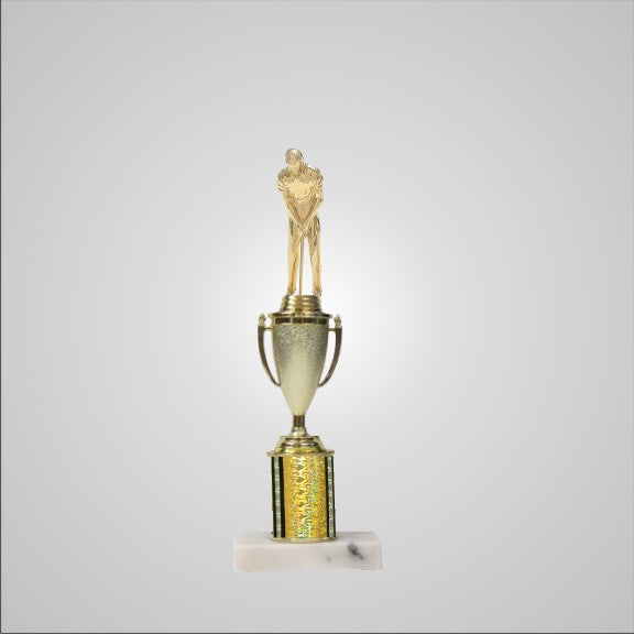 12.5" Trophy with Cup