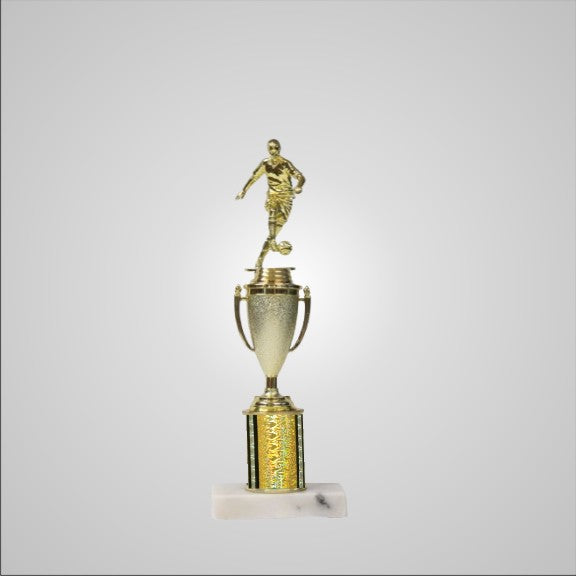 12.5" Trophy with Cup