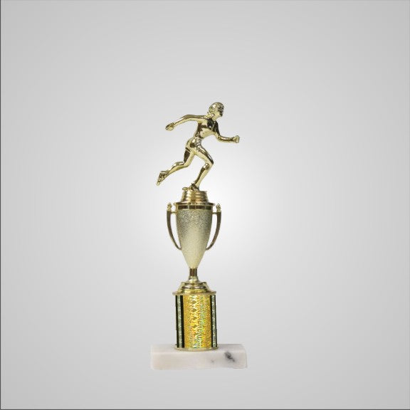 12.5" Trophy with Cup
