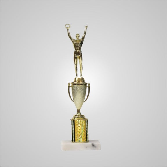 12.5" Trophy with Cup