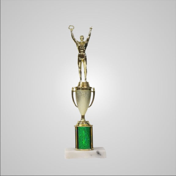 12.5" Trophy with Cup
