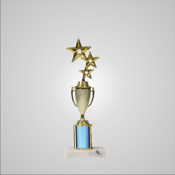12.5" Trophy with Cup